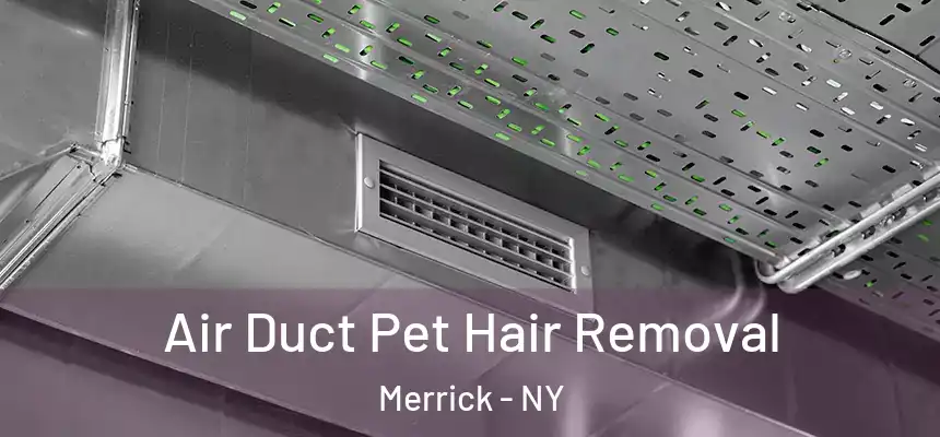  Air Duct Pet Hair Removal Merrick - NY