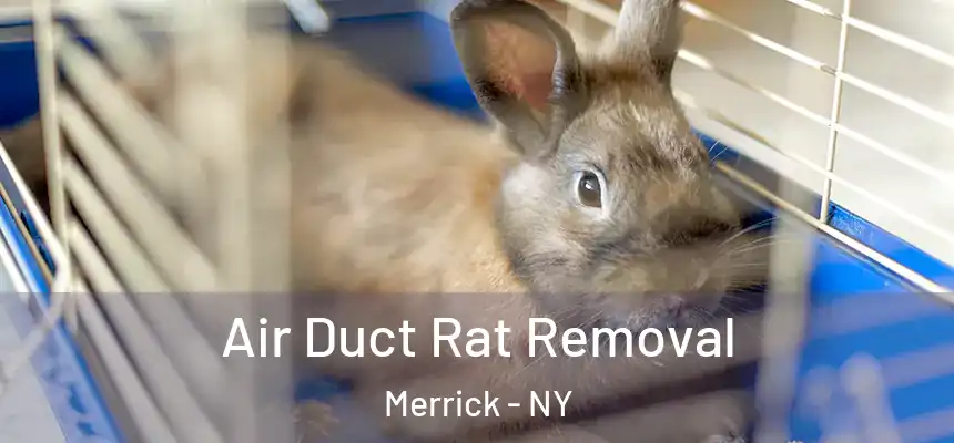  Air Duct Rat Removal Merrick - NY