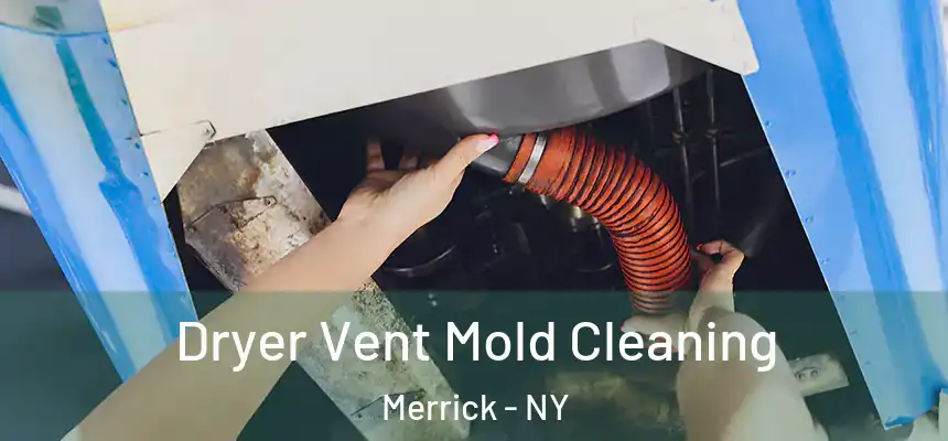  Dryer Vent Mold Cleaning Merrick - NY