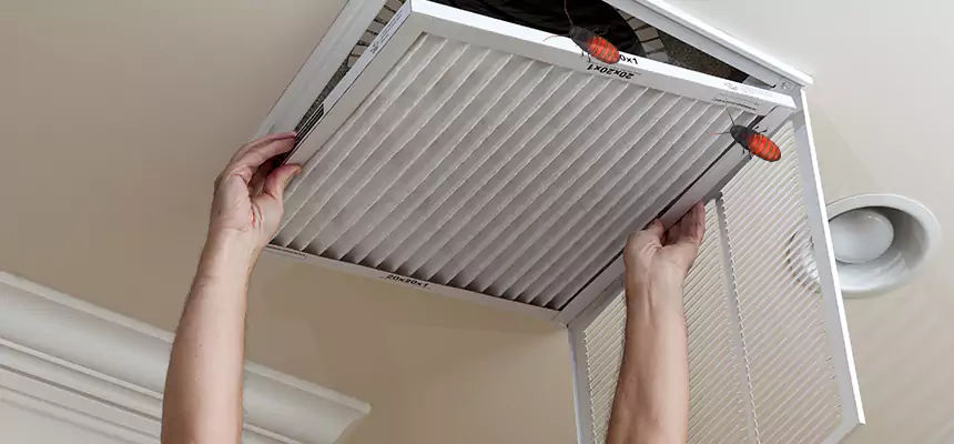 Preventive Cockroach-Proofing for Ducts in Merrick