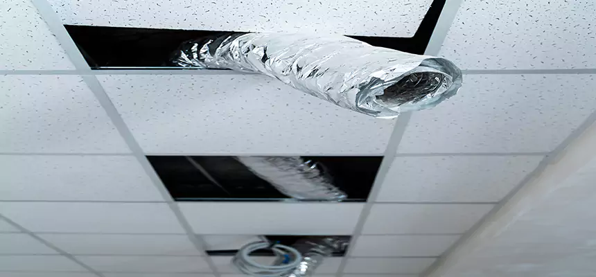 Affordable HVAC Sanitizing After Pest Removal in Merrick