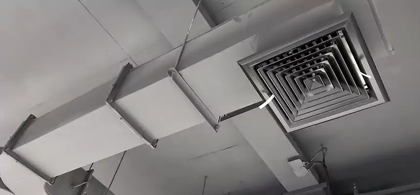 Restorative Allergy Relief Vent Cleaning – Coil, Blower & Housing Detail in Merrick