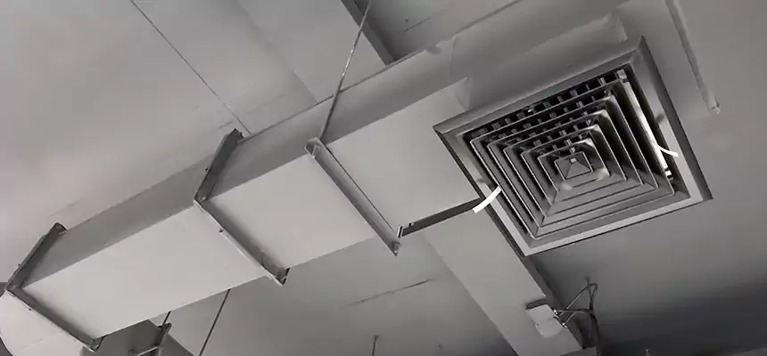 Our Pest Removal From Ducts Services in Merrick, NY