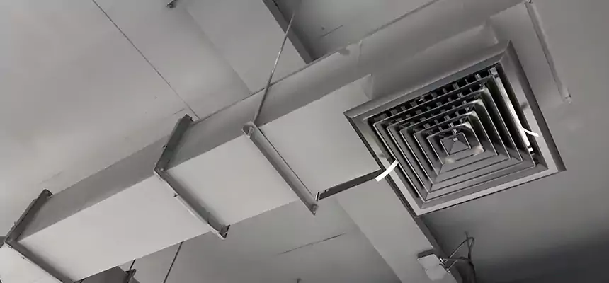 Our Rodent Droppings In Vents Services in Merrick, NY