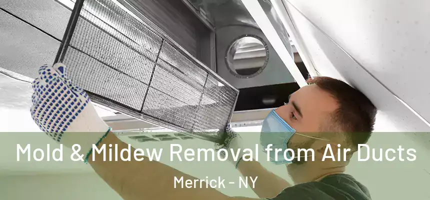 Mold & Mildew Removal from Air Ducts Merrick - NY