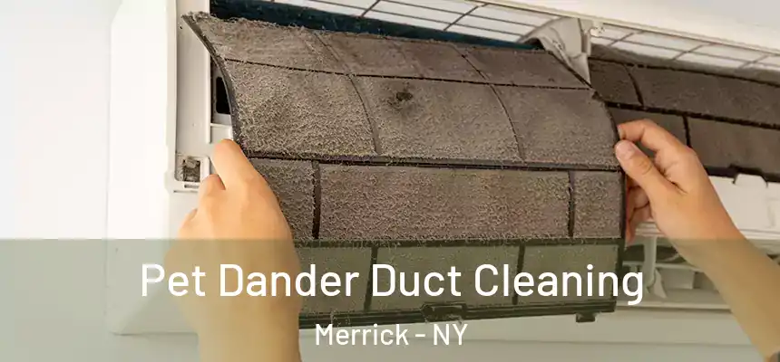 Pet Dander Duct Cleaning Merrick - NY