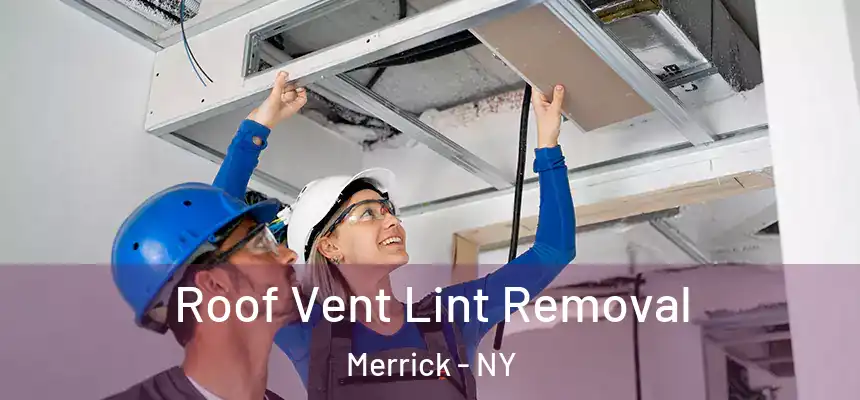  Roof Vent Lint Removal Merrick - NY