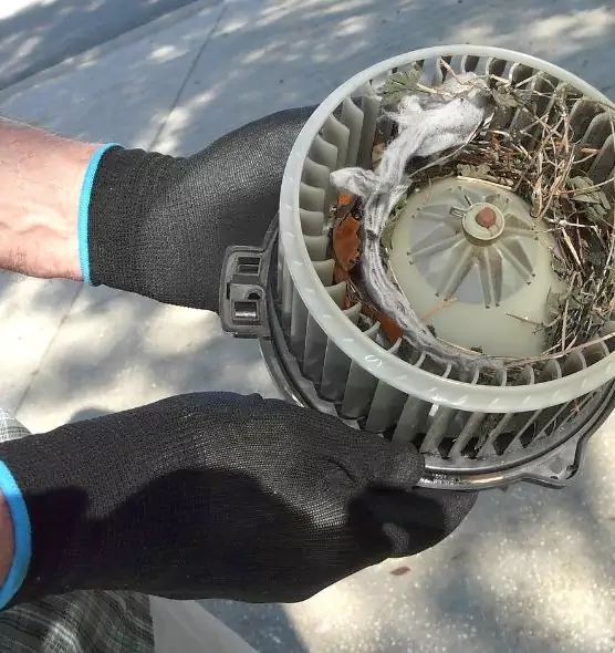 About Air Duct Mice Removal in Merrick, NY