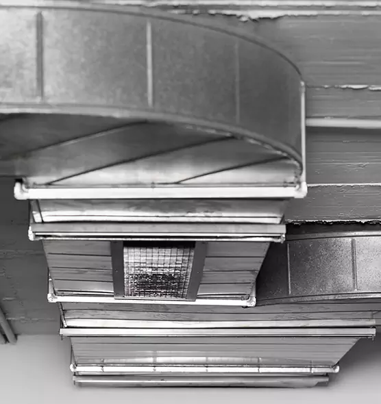 Professional Air Duct Pest Removal in Merrick, NY