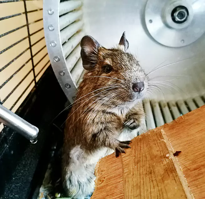 Why Homeowners & Businesses Trust Us Merrick, NY